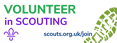 Volunteer in scouting